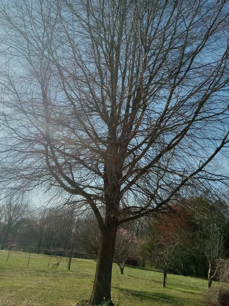 Trusted outdoor landscaping in Wilkesboro, NC - J&P Tree And Property Maintenance