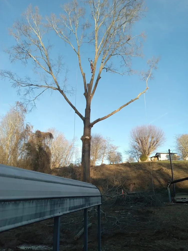 Expert lawn mowing service for beautiful yards across Wilkesboro, NC - J&P Tree And Property Maintenance