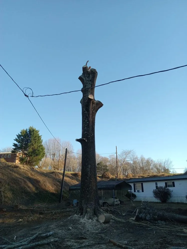 Custom lawn mowing service in Wilkesboro, NC - J&P Tree And Property Maintenance