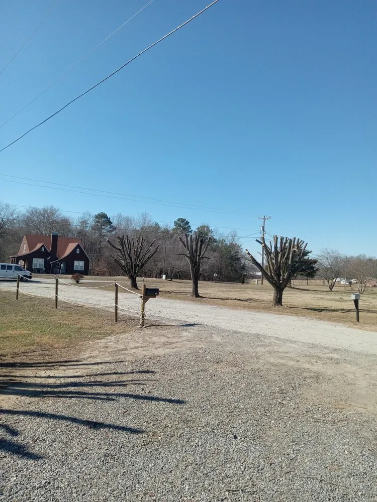 Expert yard cleanup service in Wilkesboro, NC by J&P Tree And Property Maintenance