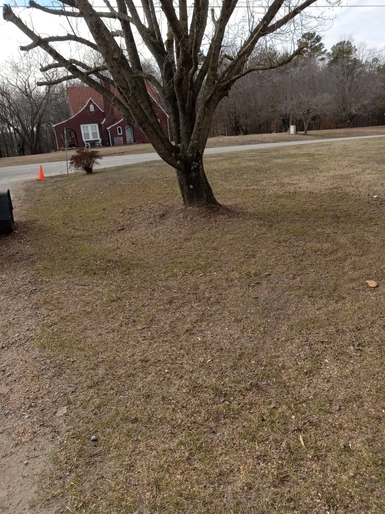 Custom landscape design for outdoor upgrades in Wilkesboro, NC by J&P Tree And Property Maintenance