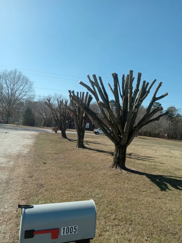 Affordable yard maintenance in Wilkesboro, NC - J&P Tree And Property Maintenance