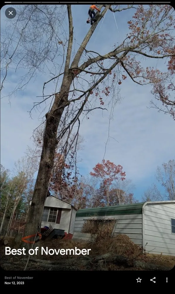 Trusted outdoor landscaping in Wilkesboro, NC - J&P Tree And Property Maintenance