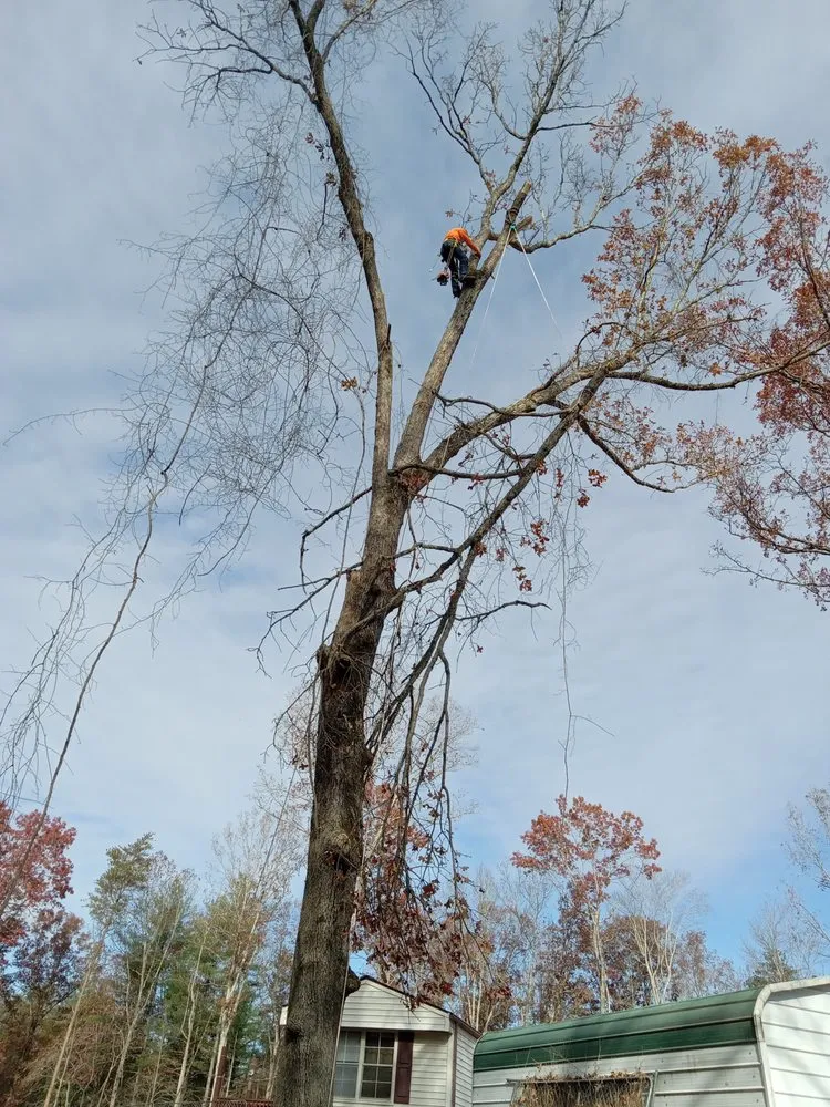 Reliable landscape installation in Wilkesboro, NC by J&P Tree And Property Maintenance