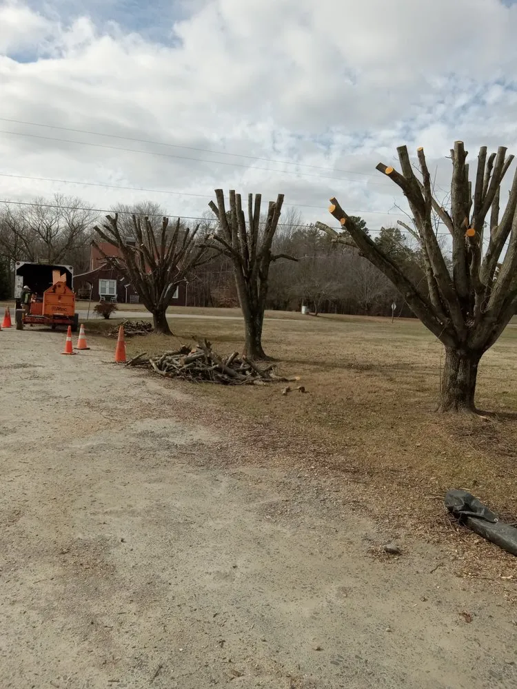 Affordable yard cleanup service in Wilkesboro, NC - J&P Tree And Property Maintenance