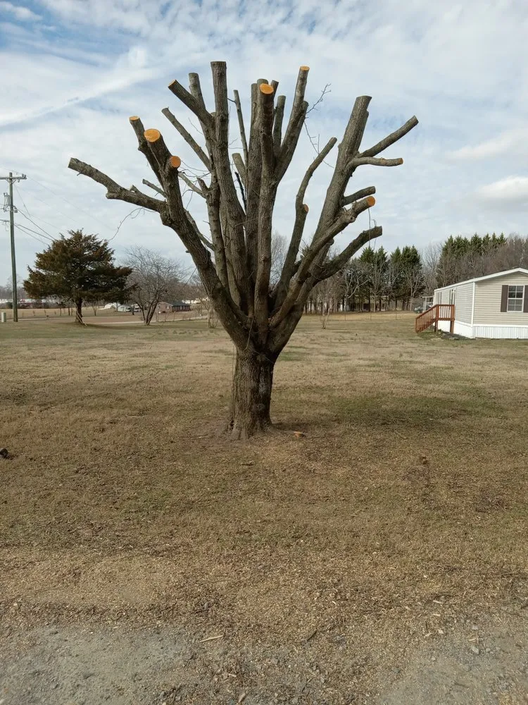 Reliable lawn mowing service for outdoor upgrades across Wilkesboro, NC - J&P Tree And Property Maintenance