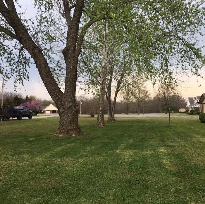 Top-rated lawn mowing service in Tulsa, OK - JP Tree Care