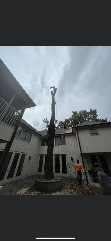 Local yard cleanup service for residential properties in Tulsa, OK by JP Tree Care
