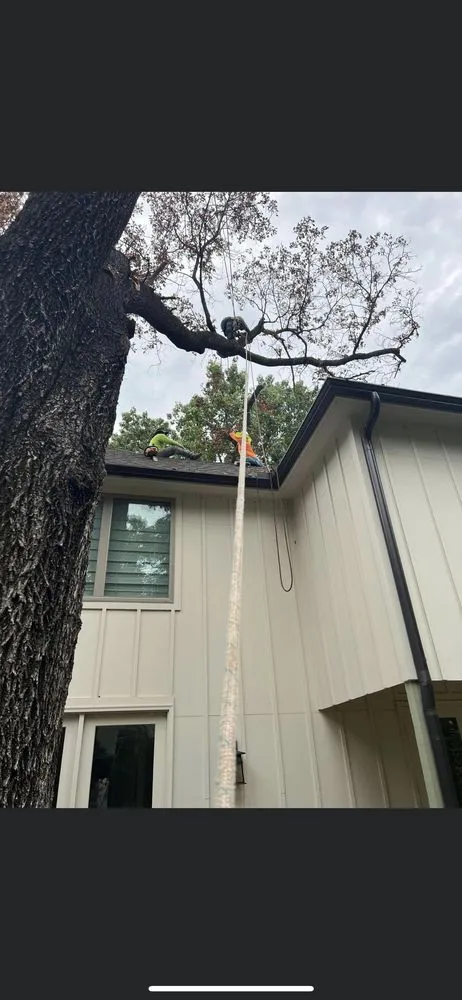 Trusted landscaping services experts serving Tulsa, OK - JP Tree Care