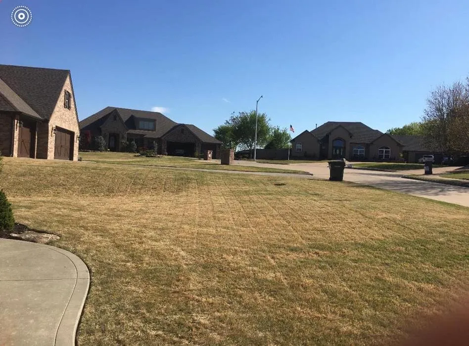 Affordable yard cleanup service in Tulsa, OK by JP Tree Care