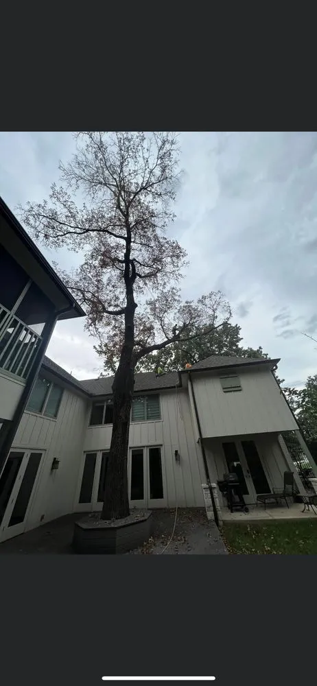 Professional outdoor landscaping experts serving Tulsa, OK - JP Tree Care