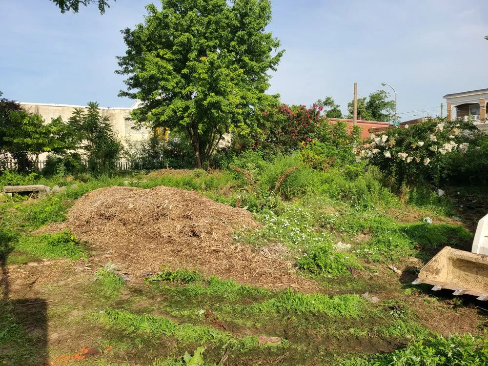 Affordable landscape design in Upper Darby, PA by JP Tree Service