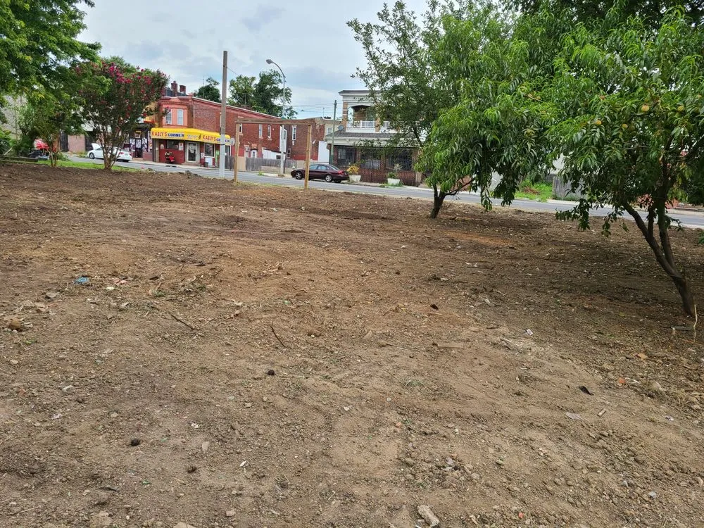 Custom landscaping services experts serving Upper Darby, PA - JP Tree Service