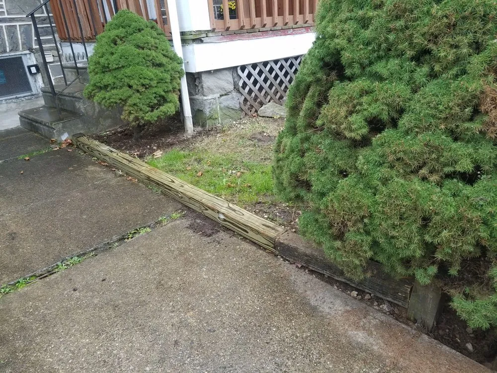 Affordable landscaping services in Upper Darby, PA by JP Tree Service