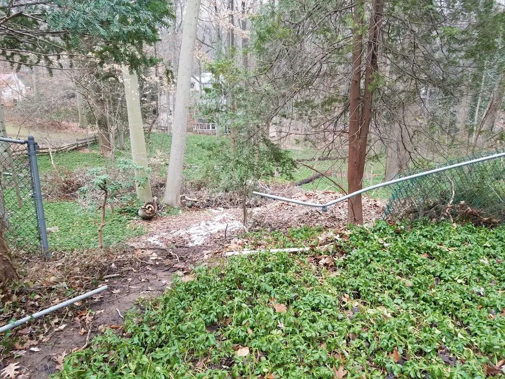 Professional landscape installation experts serving Upper Darby, PA - JP Tree Service