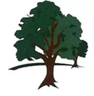 Reliable residential landscaping experts serving Winter Garden, FL - JP Trees and Landscaping