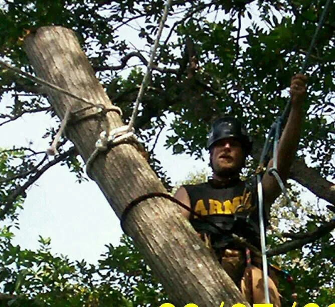 Professional yard maintenance in Winter Garden, FL - JP Trees and Landscaping