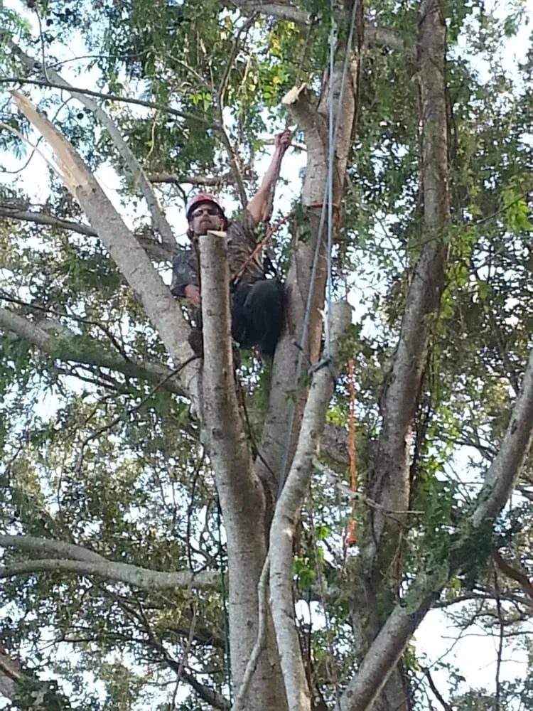 Custom yard maintenance in Winter Garden, FL by JP Trees and Landscaping