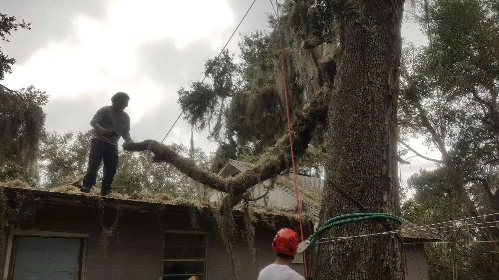 Custom residential landscaping for outdoor upgrades in Winter Garden, FL by JP Trees and Landscaping