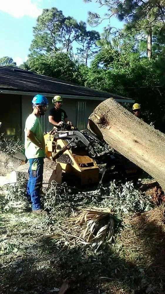 Top-rated residential landscaping for residential properties in Winter Garden, FL by JP Trees and Landscaping