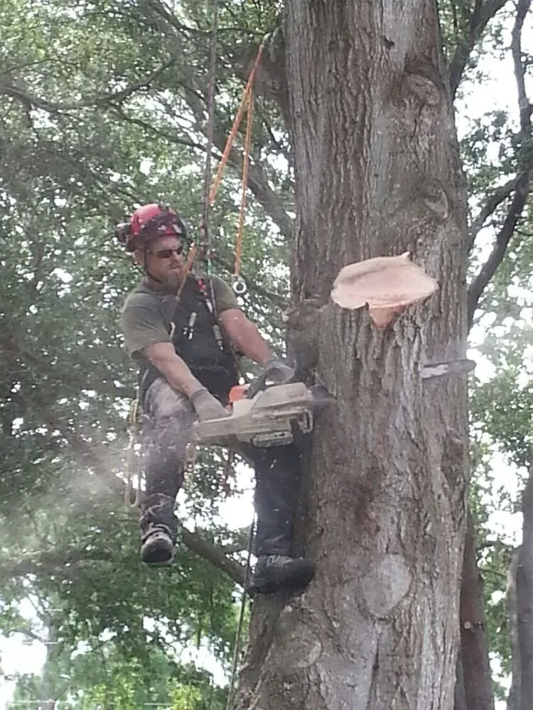 Professional lawn care service for beautiful yards in Winter Garden, FL by JP Trees and Landscaping