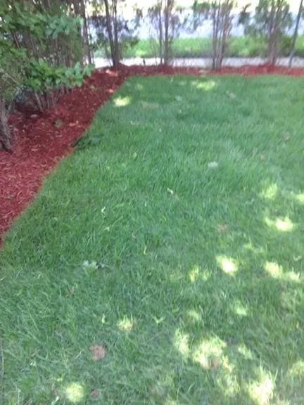 Affordable yard maintenance experts serving Westbury, NY - JP Ventura Landscaping