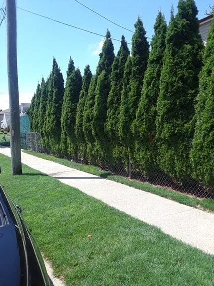 Top-rated residential landscaping for outdoor upgrades in Westbury, NY by JP Ventura Landscaping