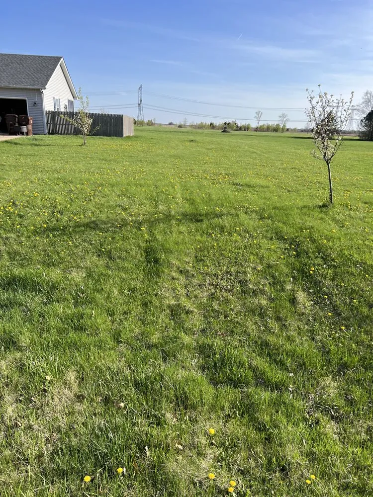 Professional landscape design in Morris, IL - JP Yard Works