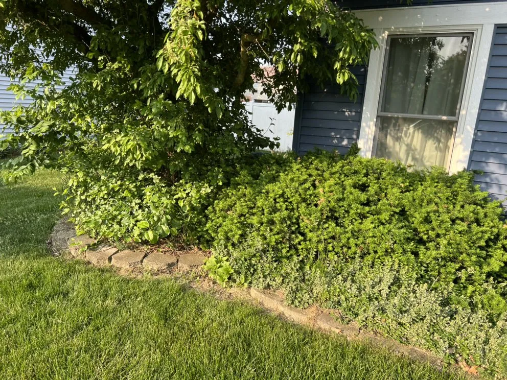 Trusted lawn care service in Morris, IL - JP Yard Works