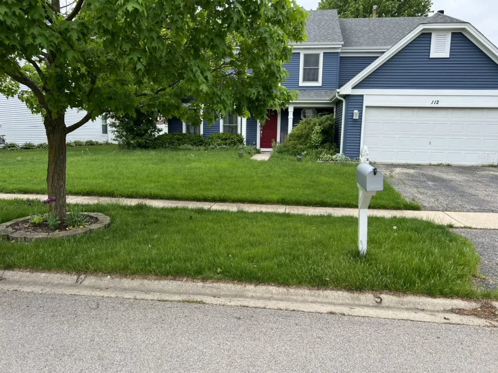 Affordable outdoor landscaping in Morris, IL - JP Yard Works