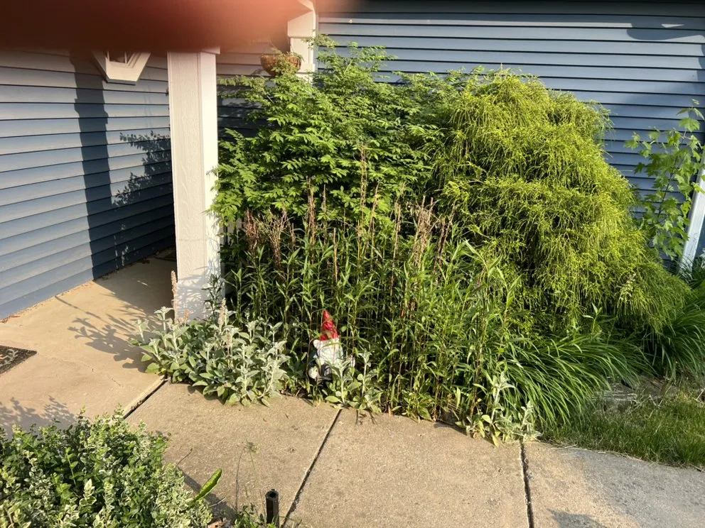 Professional lawn mowing service in Morris, IL by JP Yard Works