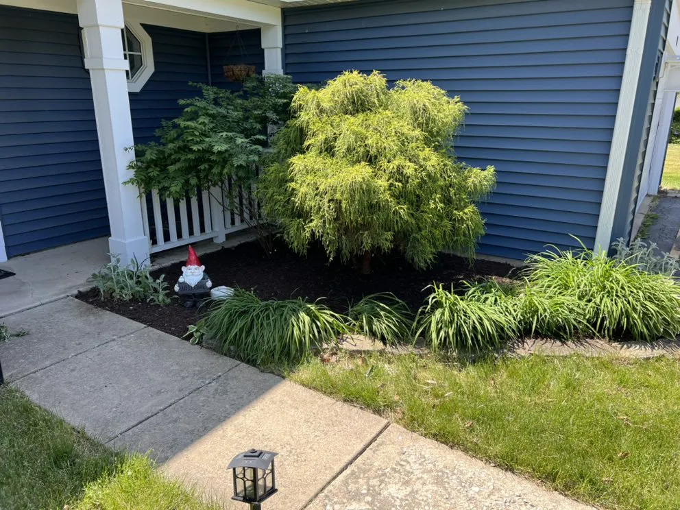 Reliable lawn care service with custom design across Morris, IL - JP Yard Works