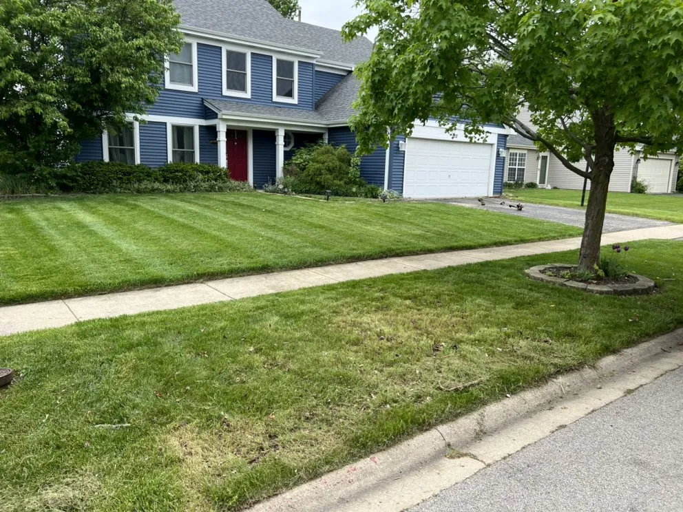 Affordable landscaping services for outdoor upgrades in Morris, IL by JP Yard Works