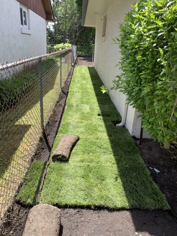 Custom lawn care service experts serving Burien, WA - JPA General Contractor