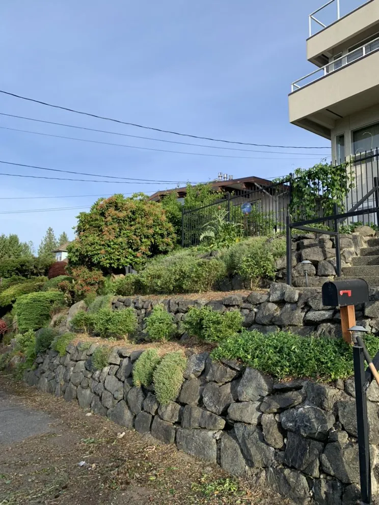 Custom lawn mowing service in Burien, WA - JPA General Contractor