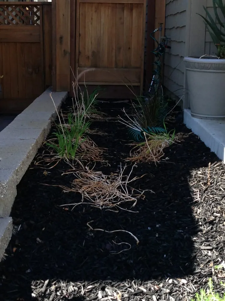 Trusted lawn care service with custom design across Livermore, CA - JPA Landscape & Construction, Inc