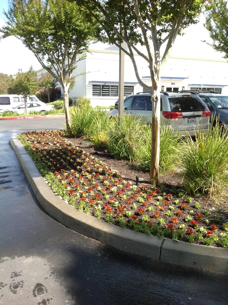 Local yard maintenance for outdoor upgrades in Livermore, CA by JPA Landscape & Construction, Inc