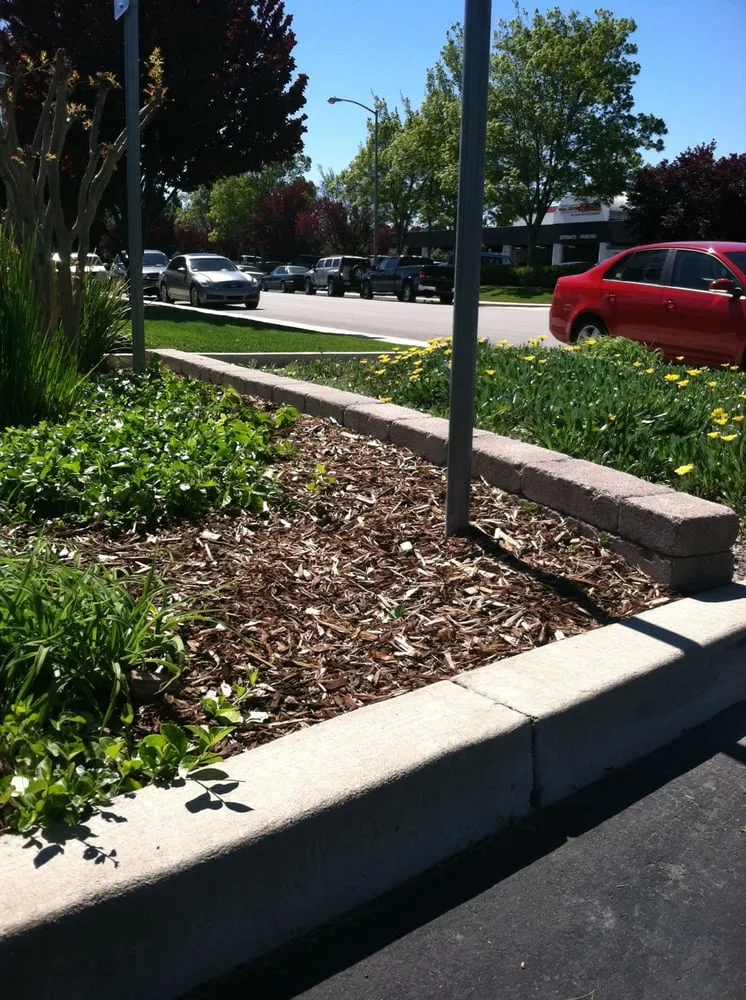 Top-rated lawn mowing service in Livermore, CA by JPA Landscape & Construction, Inc