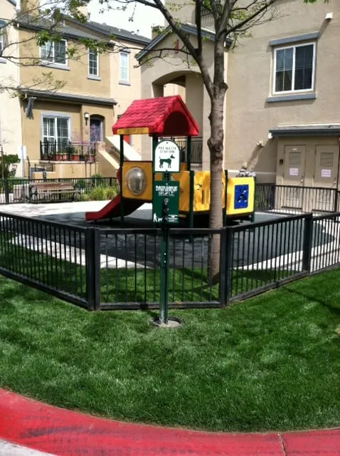 Expert yard cleanup service in Livermore, CA - JPA Landscape & Construction, Inc