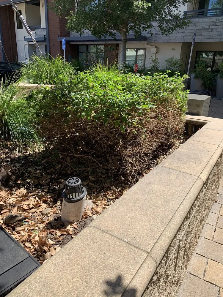 Reliable landscaping services experts serving Livermore, CA - JPA Landscape & Construction, Inc