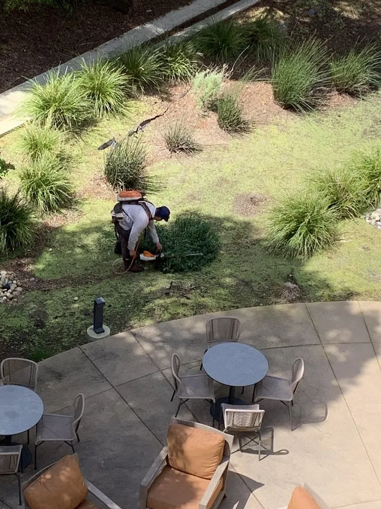 Affordable landscape design for year-round maintenance in Livermore, CA by JPA Landscape & Construction, Inc