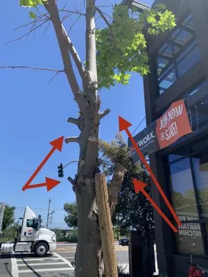 JPA Landscape & Construction, Inc Logo