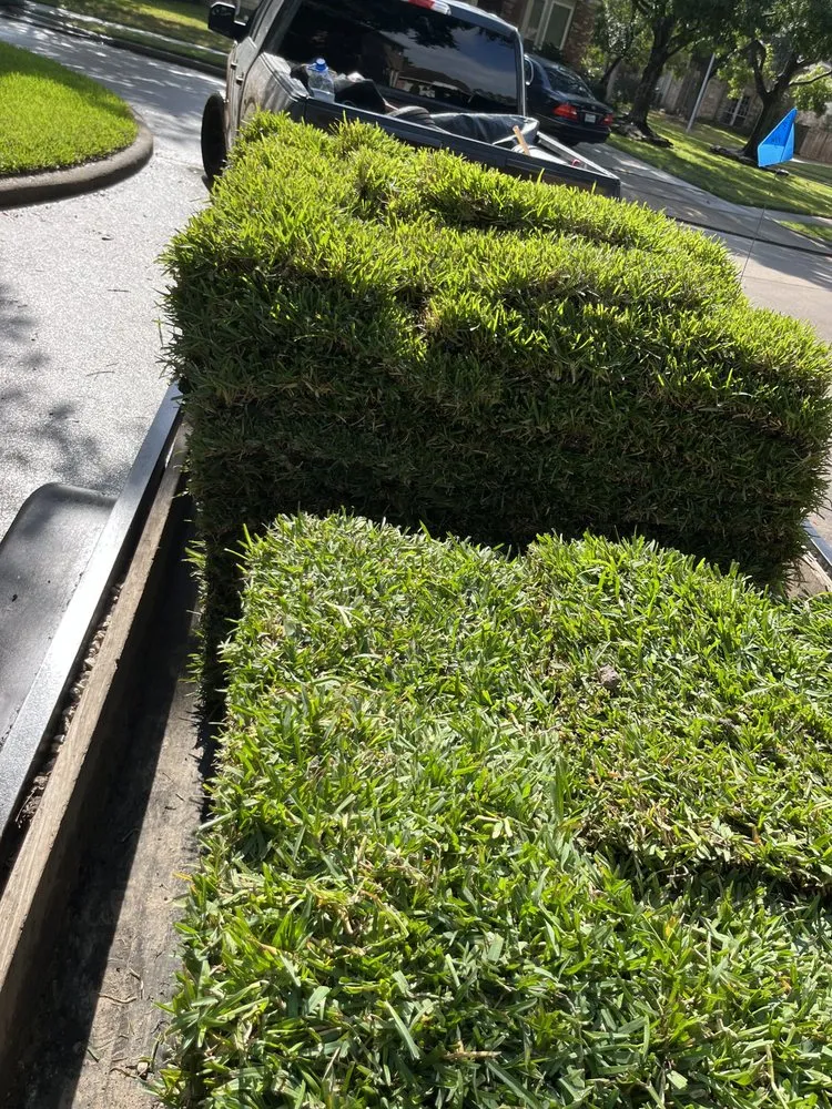 Reliable garden landscaping in Cypress, TX by JPA Landscaping