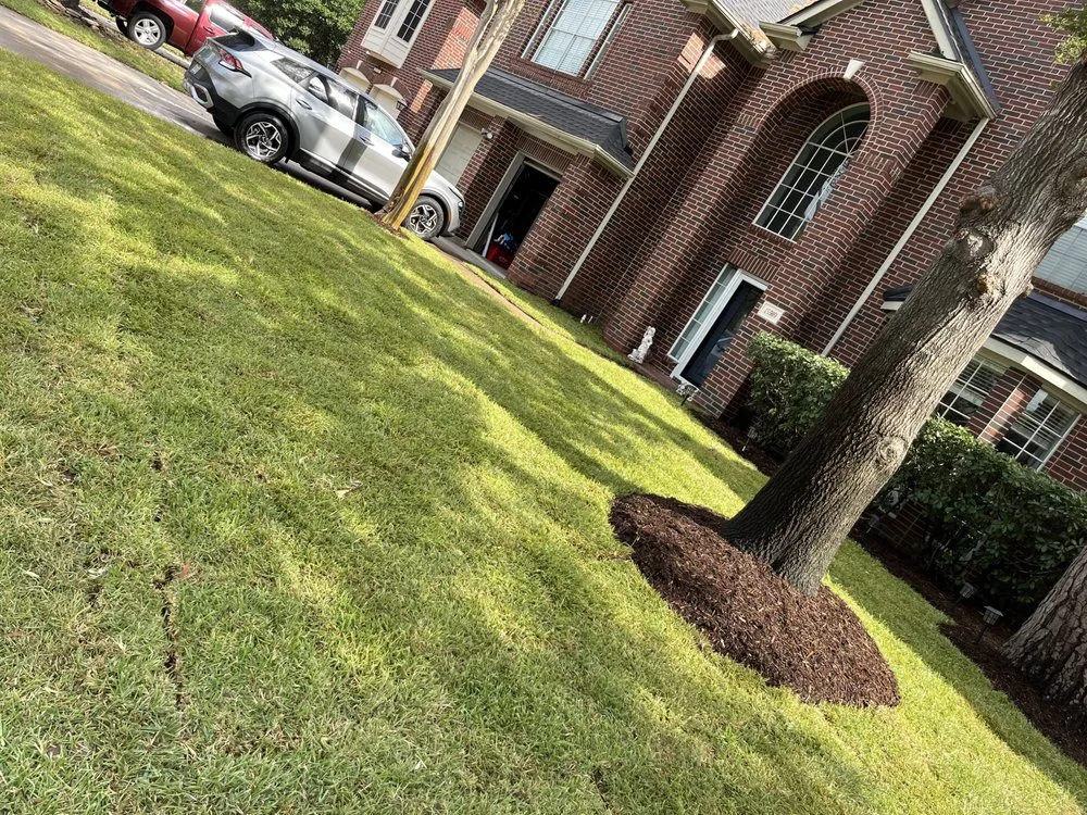 Local landscape design with custom design in Cypress, TX by JPA Landscaping