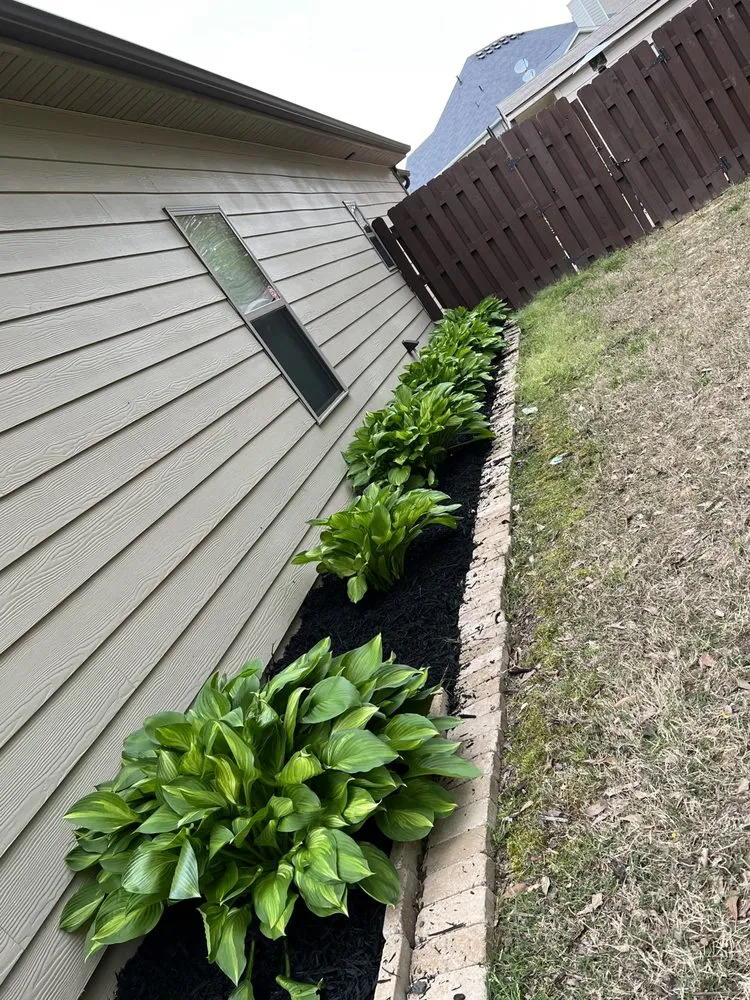 Custom yard cleanup service for outdoor upgrades across Gantt, SC - JPA Landscaping