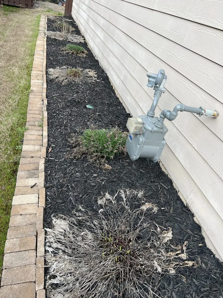 Expert residential landscaping in Gantt, SC - JPA Landscaping