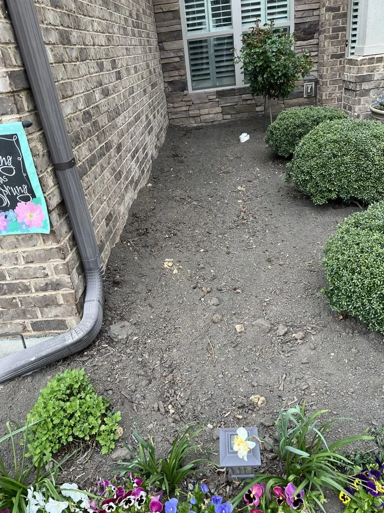 Professional landscape installation for outdoor upgrades across Gantt, SC - JPA Landscaping