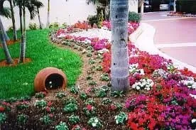 Local yard cleanup service experts serving Encinitas, CA - JPBLA