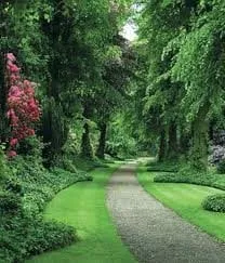 Trusted residential landscaping for homes in Encinitas, CA by JPBLA