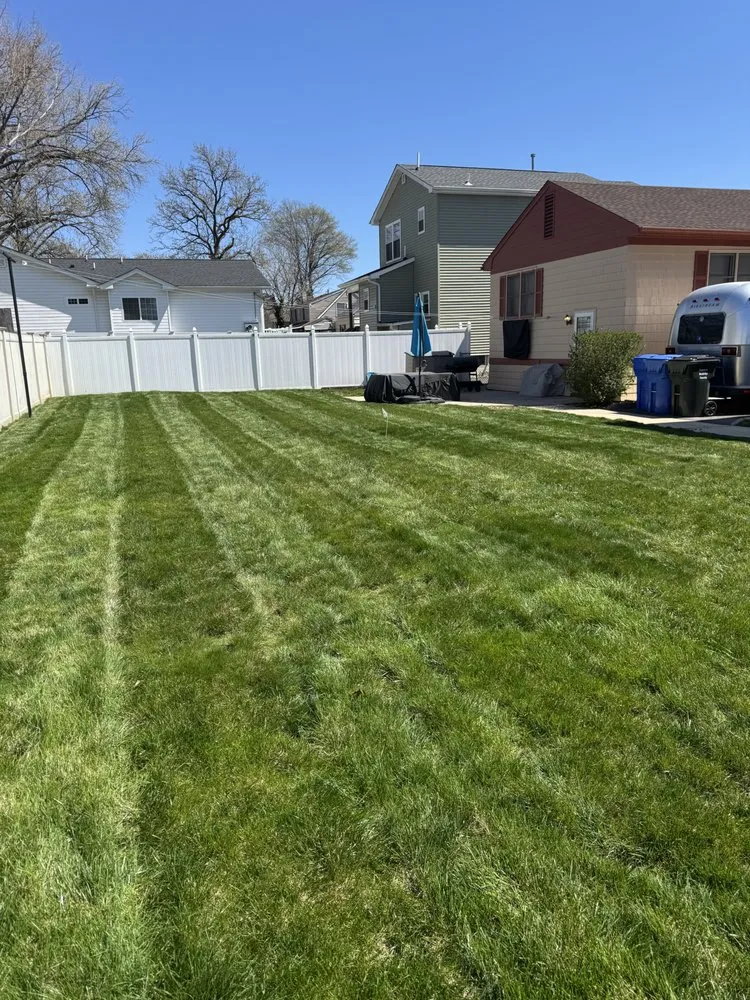 Top-rated lawn care service in Woodbridge, NJ by JPC Hardscape & Landscape